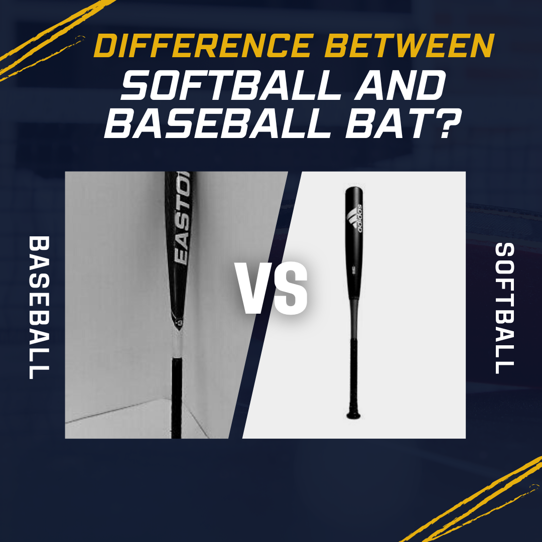 Read more about the article 5 Essential Difference Between Softball and Baseball Bat
